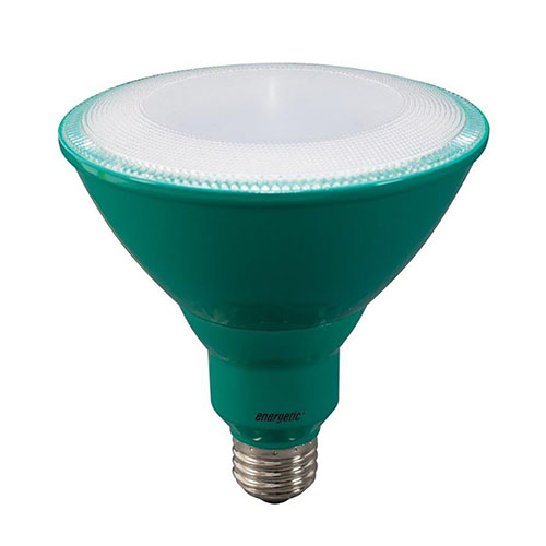 LED Par38 -  Bulb - 8 Watt - 60W Equiv - Energetic Lighting